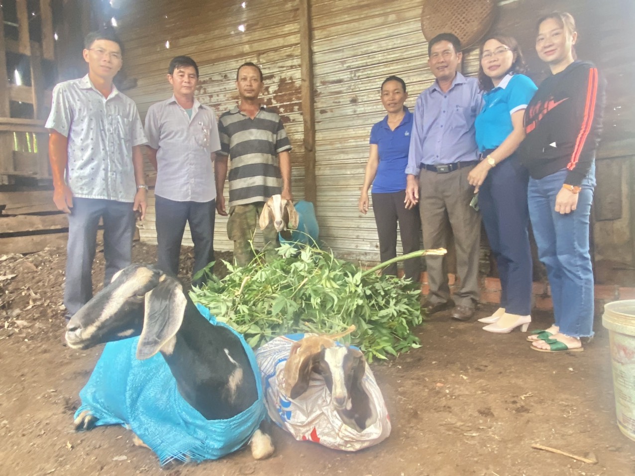 Thị trấn Quảng Phú trao tặng mô hình “sinh kế” nuôi dê sinh sản cho chị Hoàng Thị Tám ở tổ dân phố 4