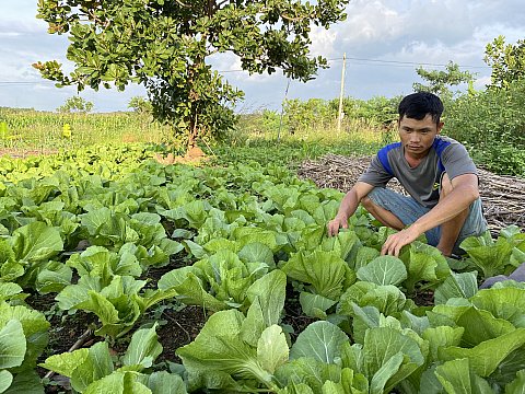 Những chuyển biến tích cực trong chuyển đổi cơ cấu cây trồng, vật nuôi ở huyện Cư M'gar