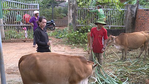 Hỗ trợ con giống, giải pháp giúp hộ nghèo phát triển kinh tế ở Cư M’gar