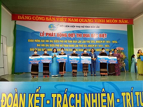 Hội LHPN tỉnh phát động đợt thi đua đặc biệt