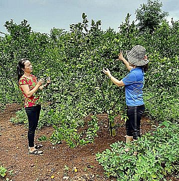 Phụ nữ xã Cư M'gar năng động trong phát triển kinh tế gia đình