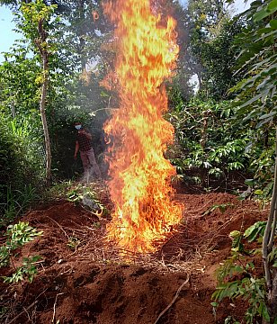 Xã Cuôr Đăng trong nỗ lực, chủ động phòng chống bệnh viêm da nổi cục trên đàn bò cho người chăn nuôi