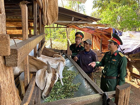 Thoát nghèo từ chương trình “Hỗ trợ vật nuôi luân chuyển” của Bộ đội