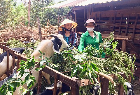 Hội LHPN Cư M'gar với nhiều cách làm hay giúp hội viên có hoàn cảnh khó khăn phát triển kinh tế gia đình