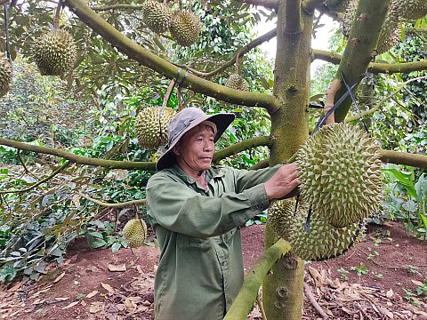 Những tấm gương CCB làm kinh tế giỏi ở huyện Cư M'gar