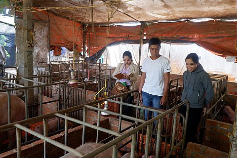 Anh Nguyễn Đức Duy ở buôn Phơng (xã Cư DliêM'nông) có thu nhập hàng tỷ đồng từ trang trại nuôi lợn