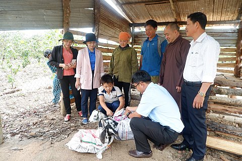 Liên đội trường THCS Ngô Mây trao tặng dê giống cho học sinh có hoàn cảnh khó khăn