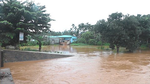 Huyện Cư M'gar mưa lớn gây ngập lụt hàng trăm ha cây trồng