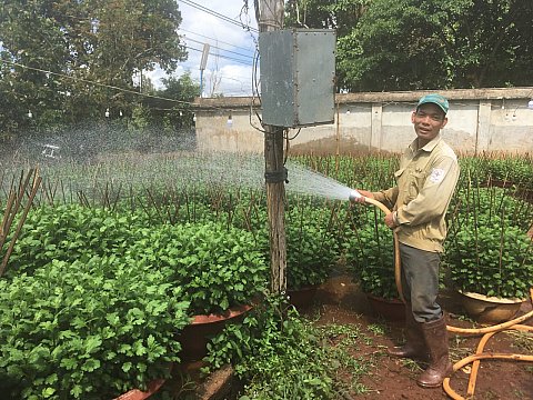 Anh Võ Trung Kính với mô hình trồng hoa phục vụ Tết