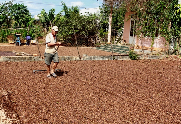 Huyện Cư M'gar có sự chuyển dịch cơ cấu kinh tế khá mạnh mẽ