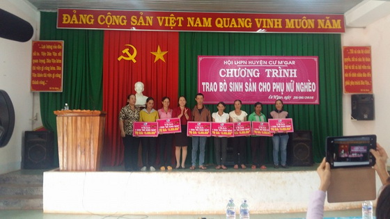 Huyện Cư M’gar: Tổ chức trao “Bò sinh sản – Chung tay vì phụ nữ nghèo”