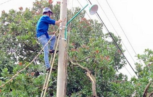 Tuổi trẻ Cư M’gar chung sức thắp sáng đường quê