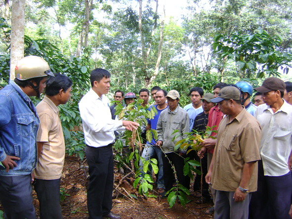 Trung tâm dạy nghề huyện Cư M'gar thực hiện hiệu quả các chương trình dạy nghề cho lao động nông thôn