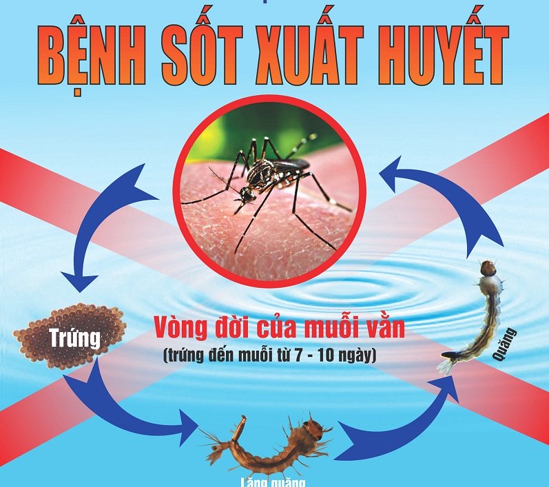 Huyện Cư M'gar – tập trung chủ động phòng chống bệnh sốt xuất huyết trên địa bàn