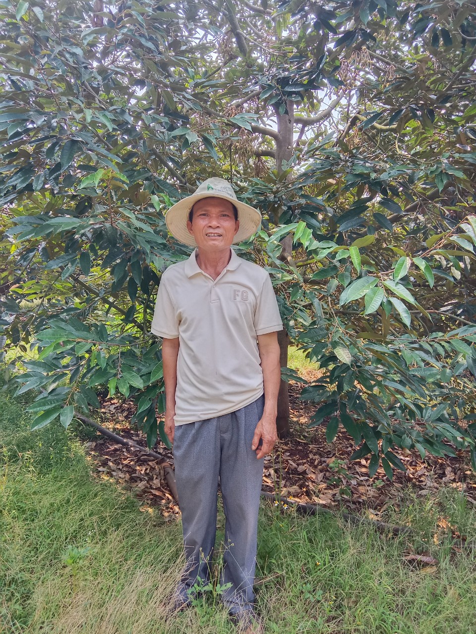 HIỆU QUẢ NGUỒN VỐN CỦA NGÂN HÀNG CHÍNH SÁCH XÃ HỘI  HUYỆN CƯ M’GAR TRONG VIỆC PHÁT TRIỂN KINH TẾ  TẠI  THÔN ĐẮK HÀ TÂY XÃ CƯ DLIÊ M’NÔNG