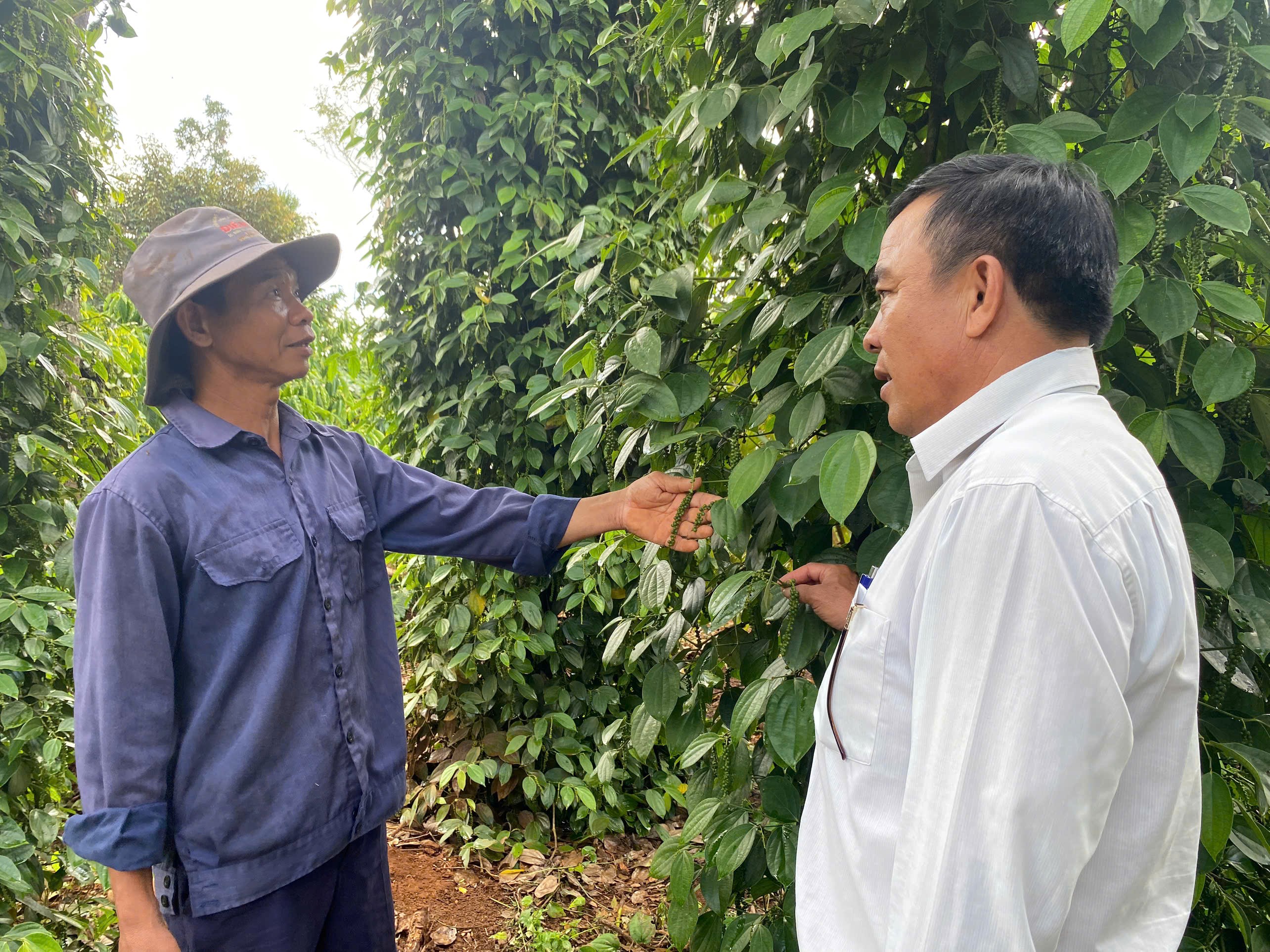 Người Tổ trưởng nhiệt tình luôn giúp hộ vay vốn&nbsp;  vượt qua khó khăn nhờ nguồn vốn vay tín dụng chính sách