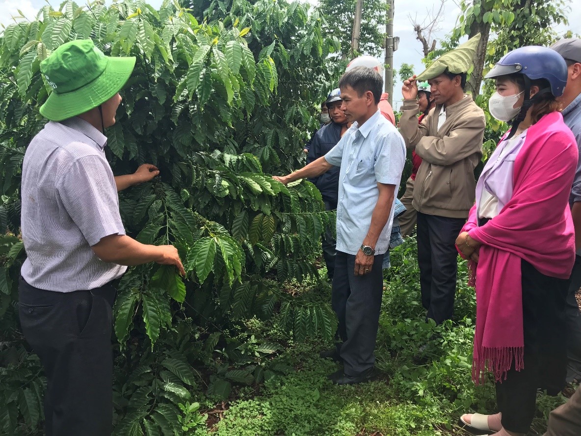 Công ty TNHH Dakman Việt Nam triển khai tập huấn tiểu giảng viên cho cán bộ khuyến nông xã, cán bộ HTX, và cán bộ thôn/buôn vùng Compact