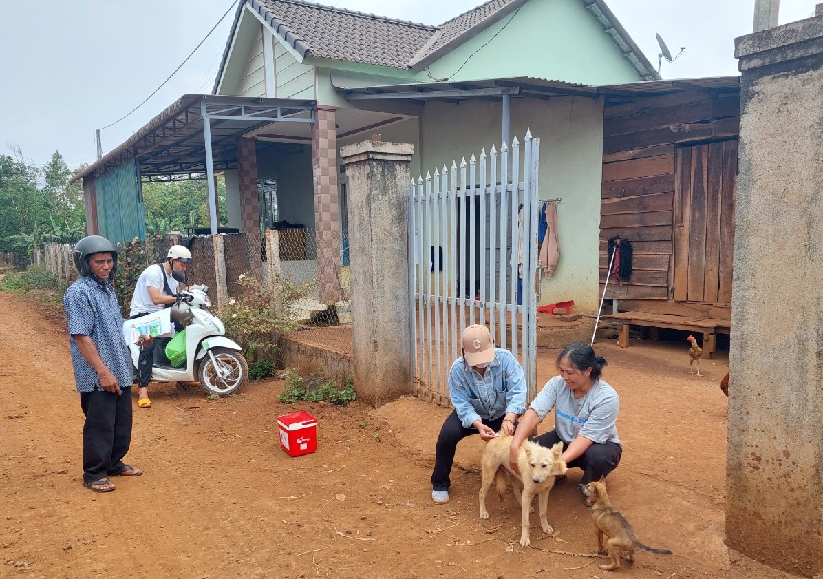 Huyện Cư M’gar chủ động phòng chống phòng bệnh dại trên đàn chó, mèo