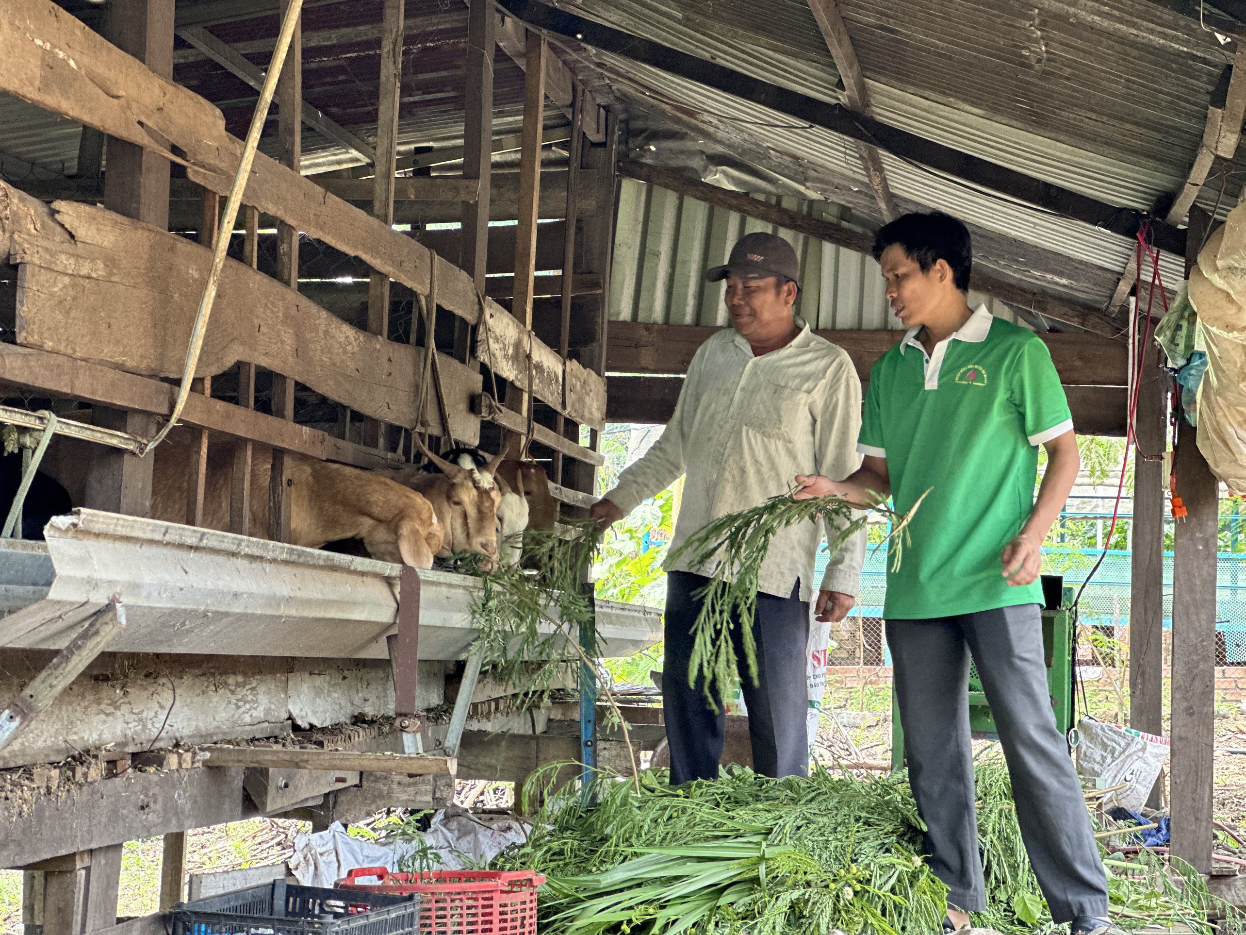 Ông Trần Quốc Dũng thoát nghèo từ nguồn vốn Ngân hàng CSXH