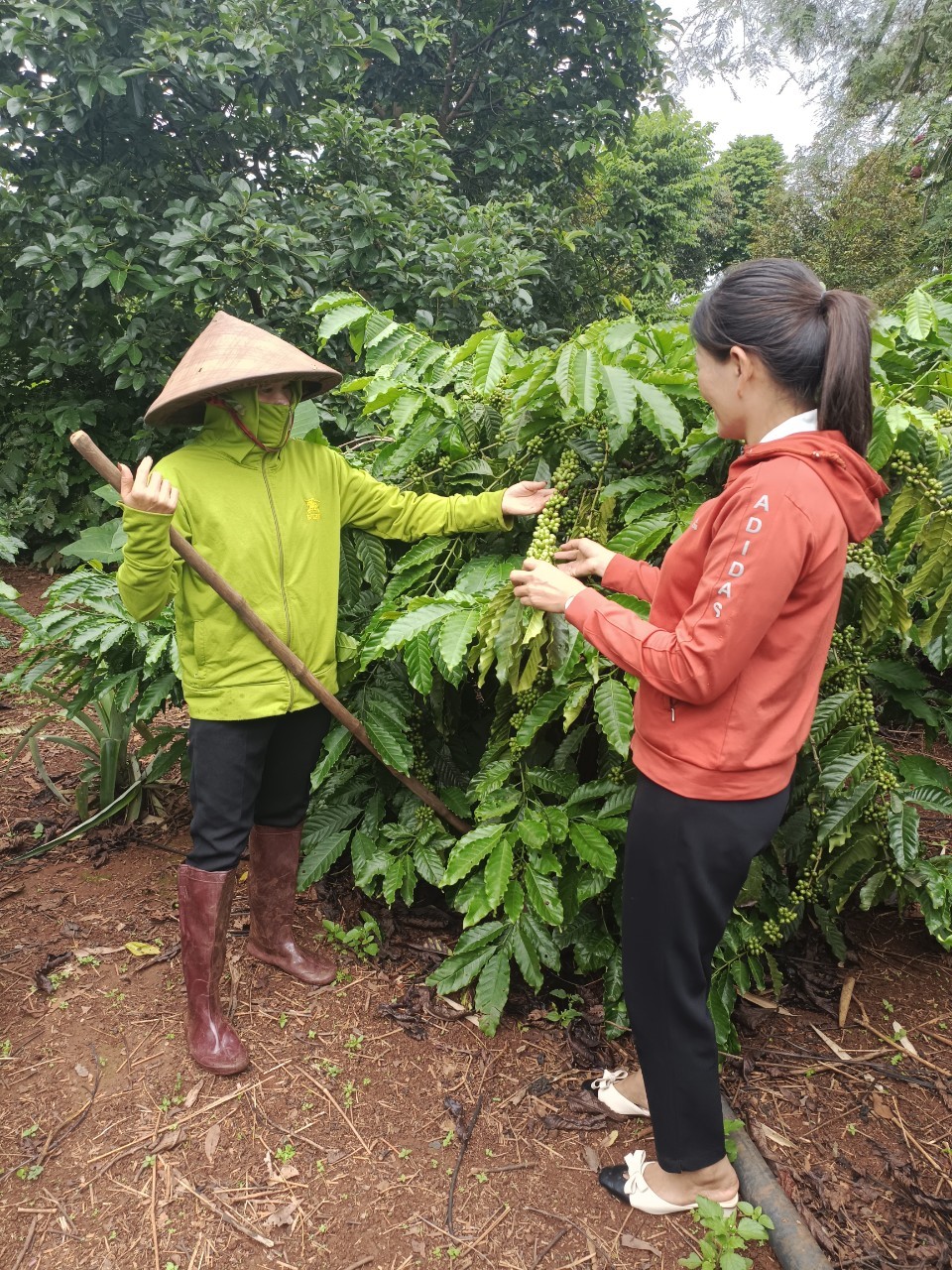 Phát huy vai trò của hội, đoàn thể xã Ea Kiết trong hoạt động ủy thác