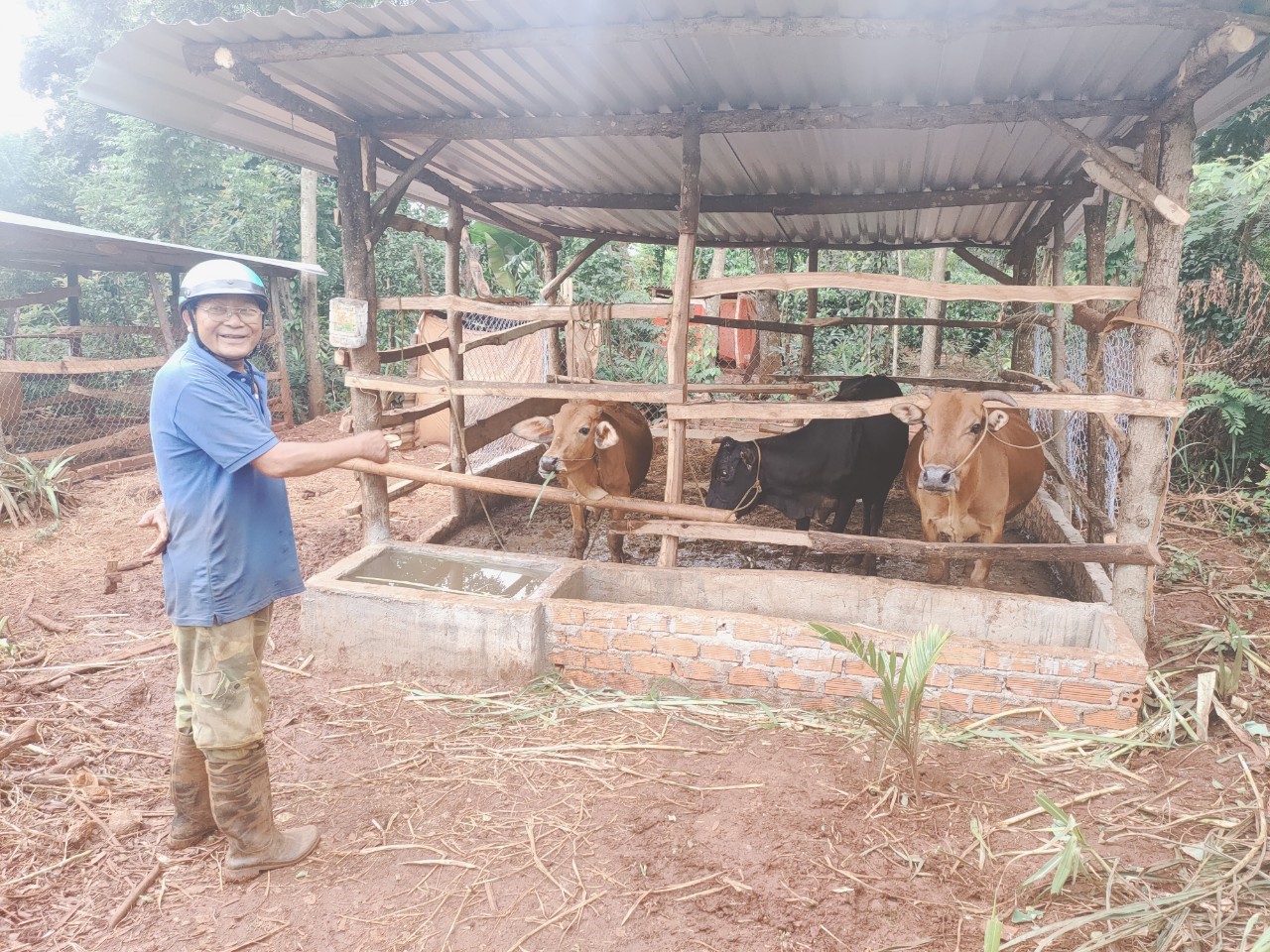 Phát huy hiệu quả các chương trình tín dụng chính sách đối với hộ đồng bào dân tộc thiểu số và miền núi tại huyện Cư Mgar