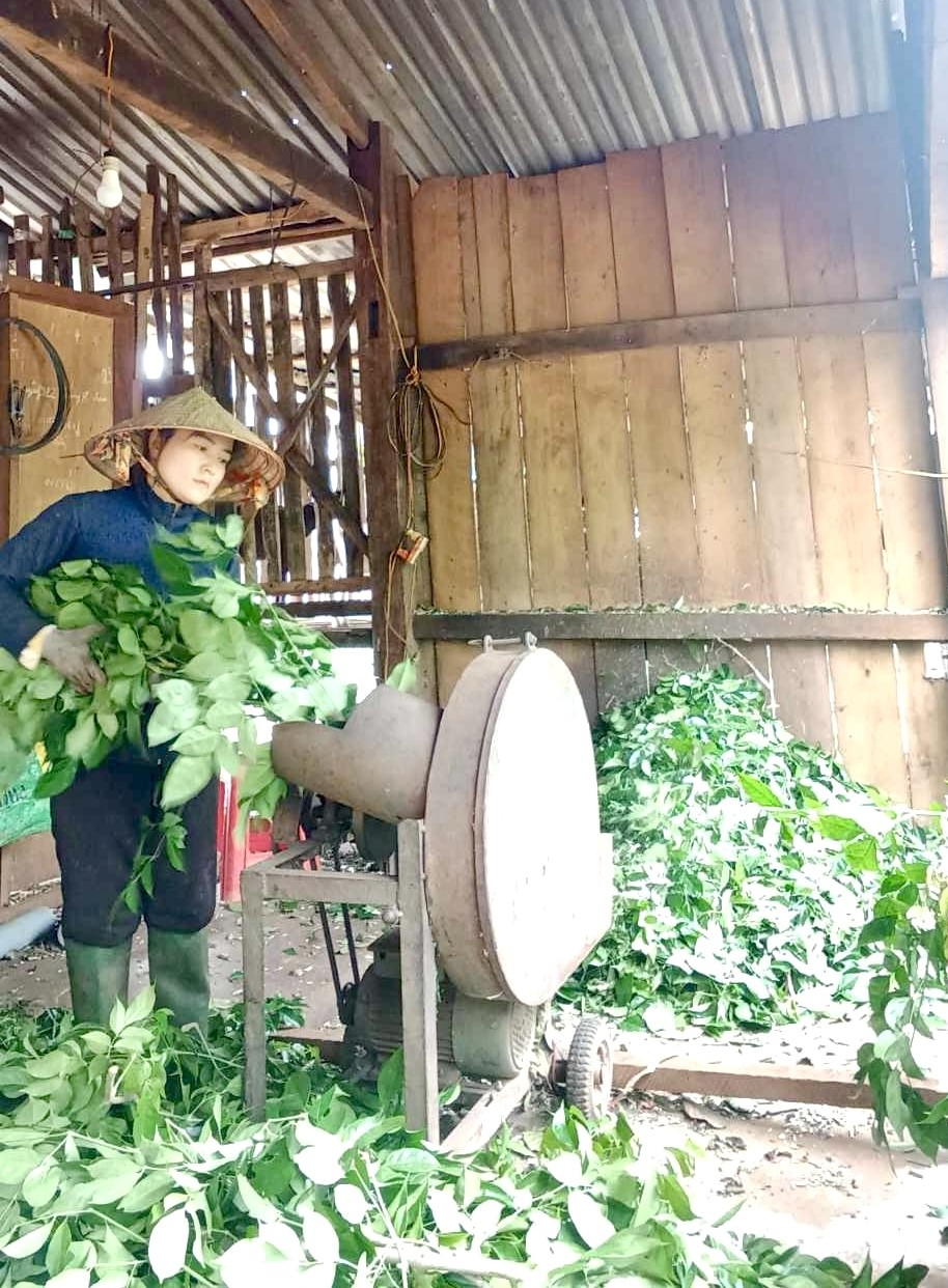 Hội viên phụ nữ dân tộc thiểu số sử dụng hiệu quả nguồn vốn vay ngân hàng chính sách xã hội để phát triển kinh tế