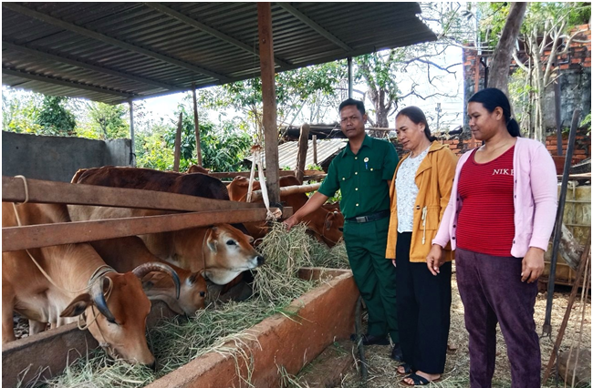 Hội Cựu chiến binh xã Cư M’gar phát huy hiệu quả công tác quản lý, sử dụng nguồn vốn vay ủy thác Ngân hàng Chính sách xã hội