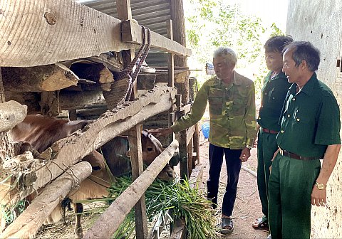 Quỹ “vì đồng đội” giúp hội viên CCB xóa đói giảm nghèo