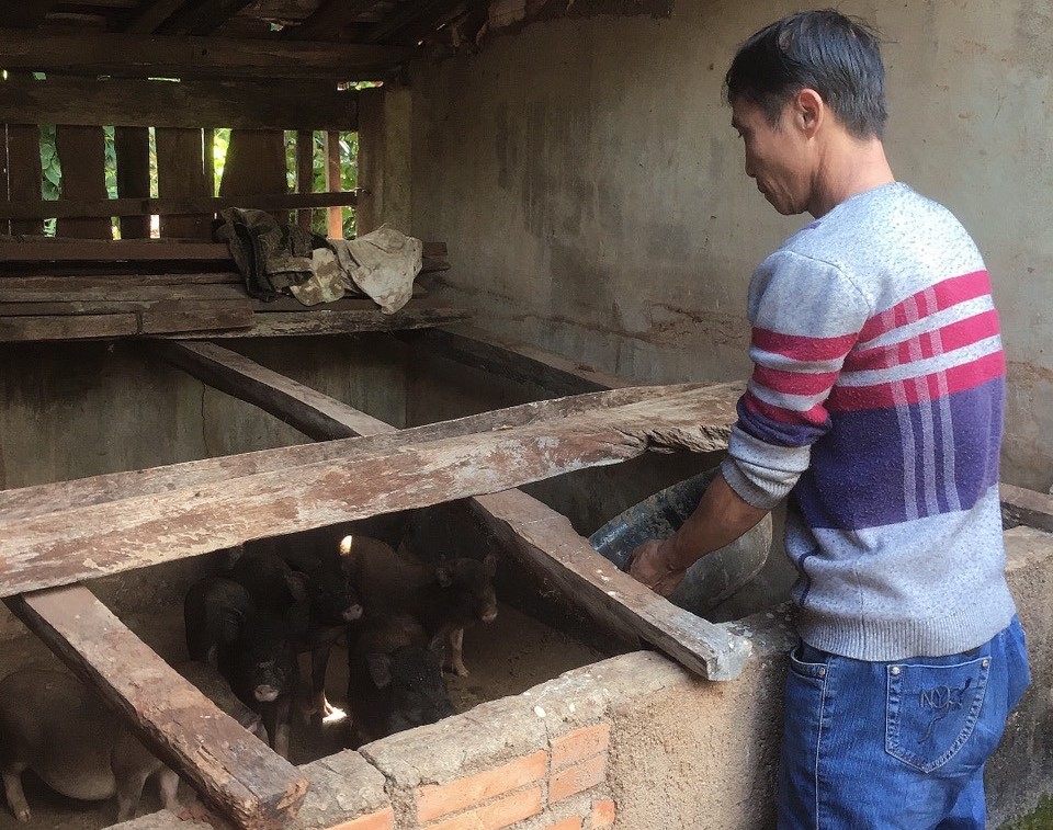 Phát huy hiệu quả nguồn vốn của Ngân hàng Chính sách xã hội trong công tác giảm nghèo tại xã Cư Suê