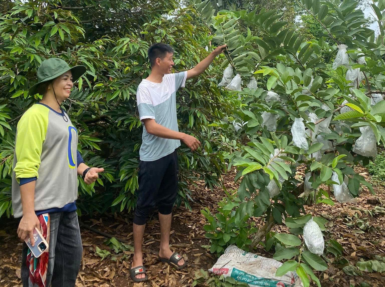 Hiệu quả nguồn vốn tín dụng chính sách với Đoàn viên thanh niên xã Cư Suê