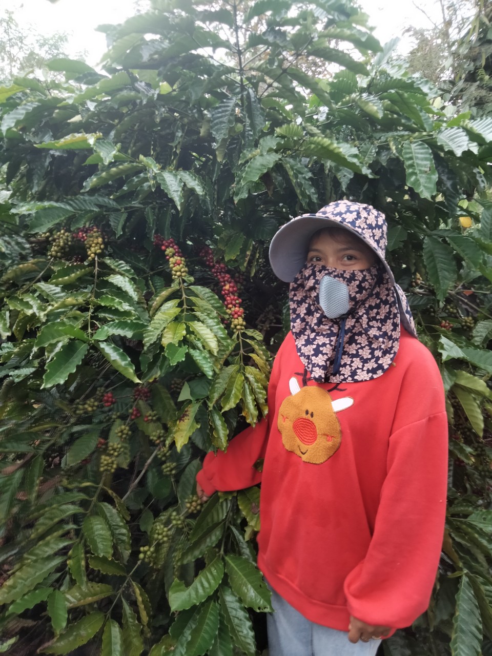 Hội Cựu chiến binh xã thực hiện Chính sách giảm nghèo tại xã Ea Drơng