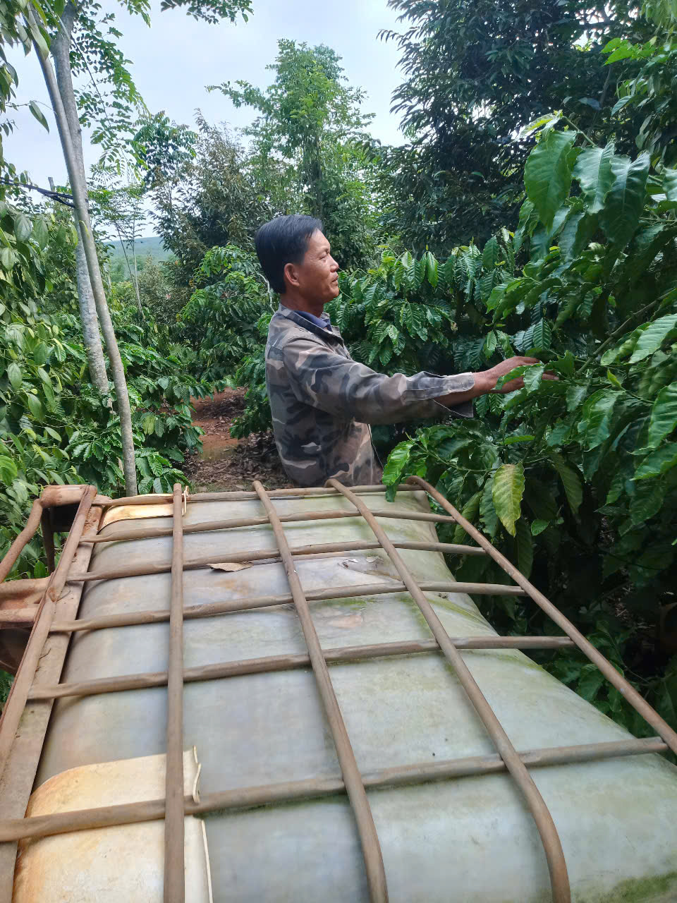 Nguồn vốn tín dụng chính sách - Ðiểm tựa trong khó khăn