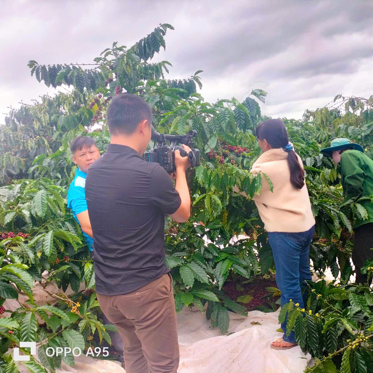 Hội Cựu chiến binh xã Ea Kuêh cánh tay dài của Ngân hàng chính sách xã hội