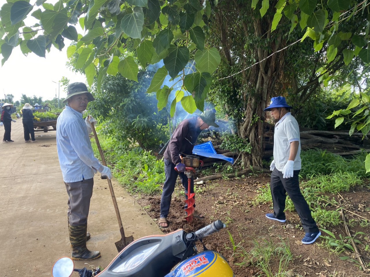 Hội Nông dân xã  Ea M’nang tổ chức công trình cây xanh trồng cau trên tuyến đường và khuôn viên nghĩa trang xã