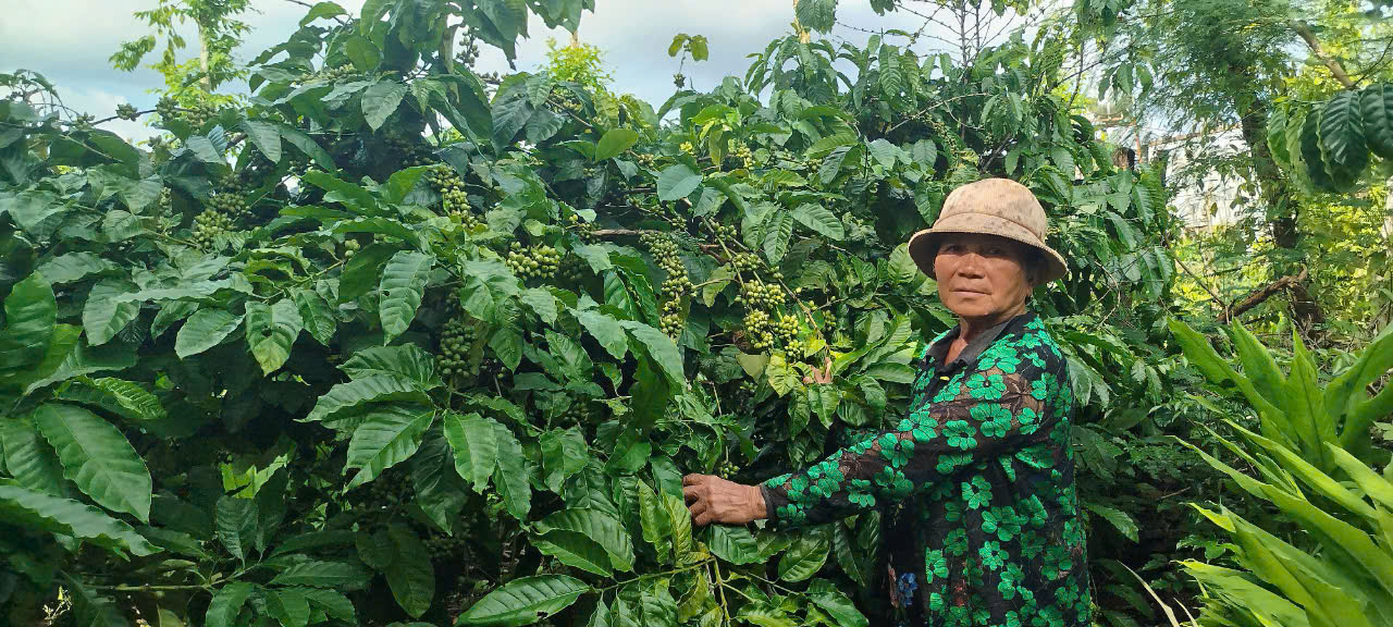 HỘI LHPN XÃ EA M’NANG TRONG CÔNG TÁC QUẢN LÝ VỐN NGÂN HÀNG CHÍNH SÁCH XÃ HỘI