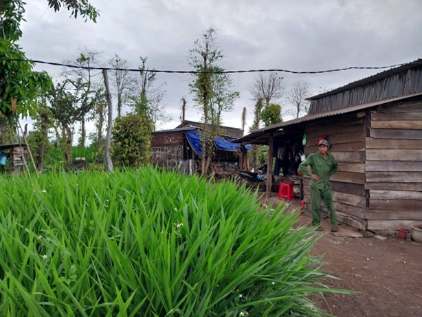 Hội nông dân xã Ea M’nang,huyện CưM’gar, tỉnh Đắk Lắk phối hợp phát huy hiệu quả từ nguồn vốn vay Ngân hàng Chính sách xã hội huyện CưM’gar