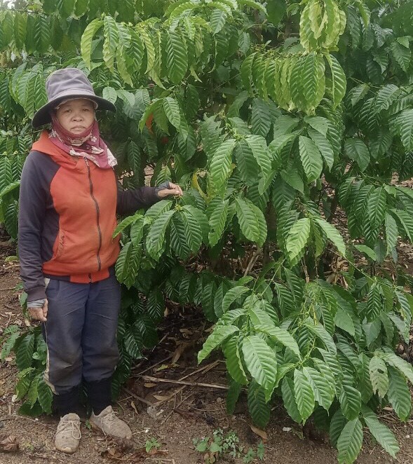 Gương điển hình sử dụng có hiệu quả từ nguồn vốn vay  Ngân Hàng chính sách xã hội huyện Cư Mgar.