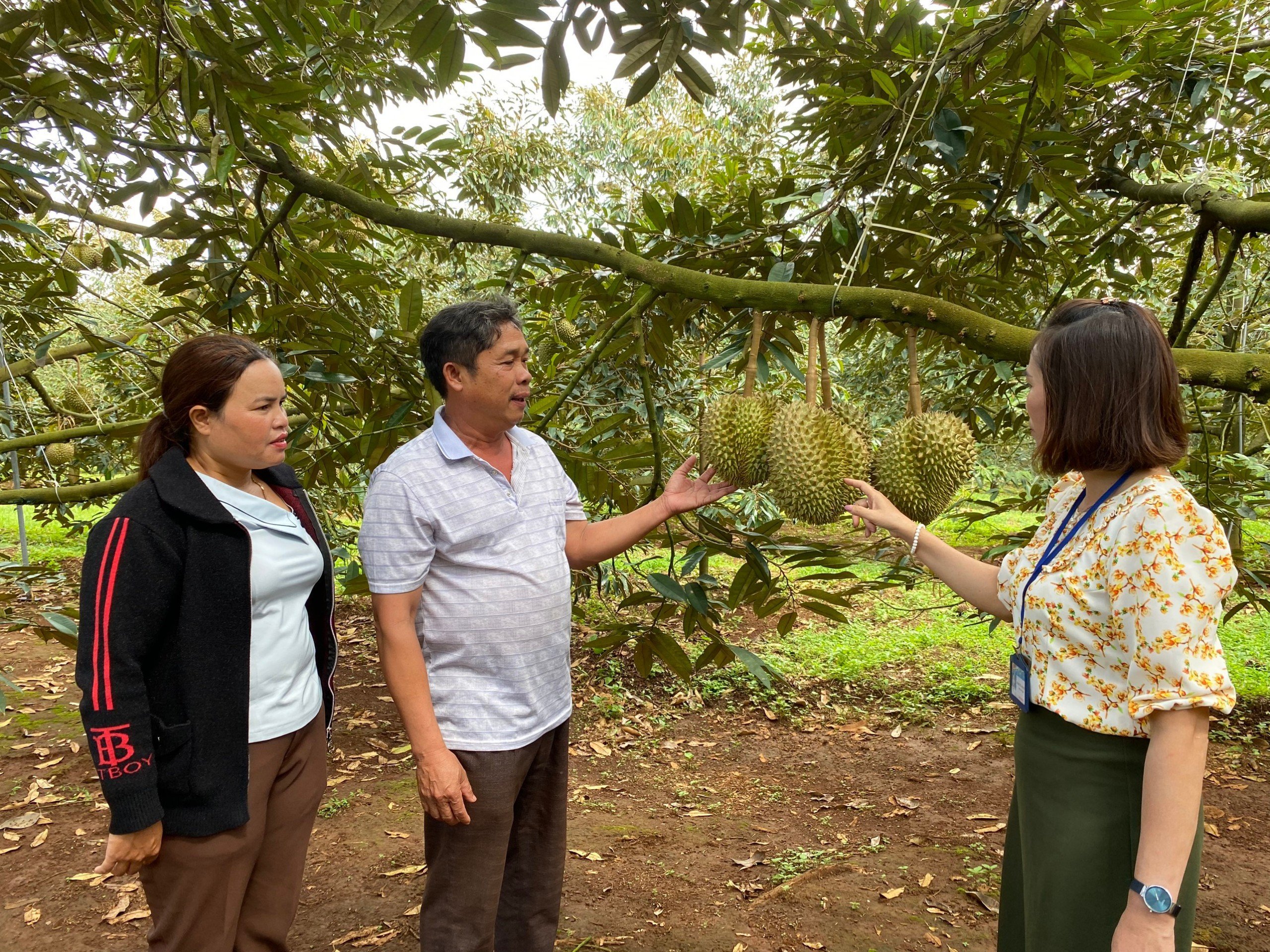Tăng cường kiểm tra, giám sát đảm bảo hiệu quả nguồn vốn tín dụng chính sách của thành viên Ban đại diện HĐQT NHCSXH huyện