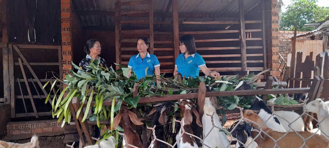 Hội Phụ nữ thị trấn Quảng Phú phát huy vai trò quản lý nguồn vốn Tín dụng chính sách trên địa bàn thị trấn