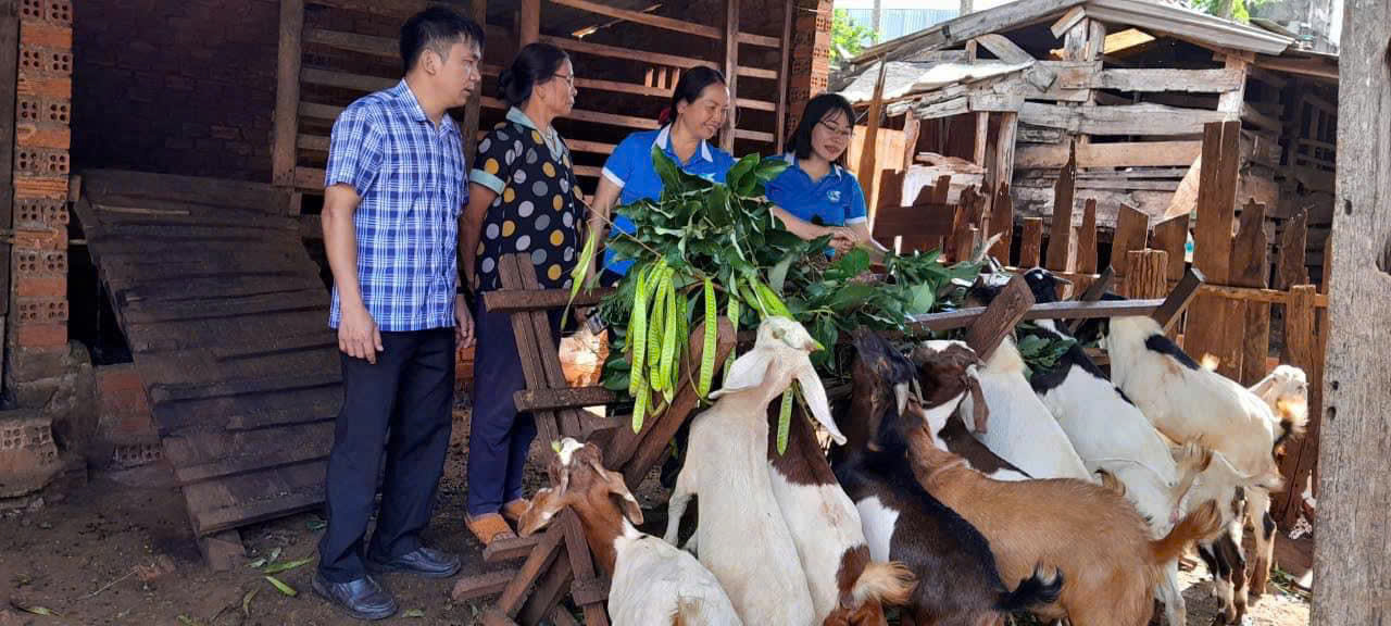 Hội Nông dân thị trấn Quảng Phú phát huy hiệu quả công tác quản lý, sử dụng nguồn vốn vay ủy thác Ngân hàng Chính sách xã hội