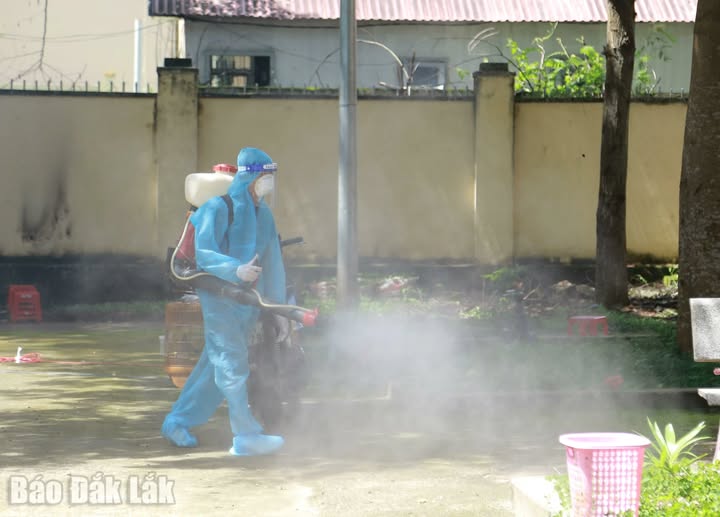 Tăng cường phòng, chống bệnh do vi rút Nipah, không để dịch xâm nhập vào Việt Nam.