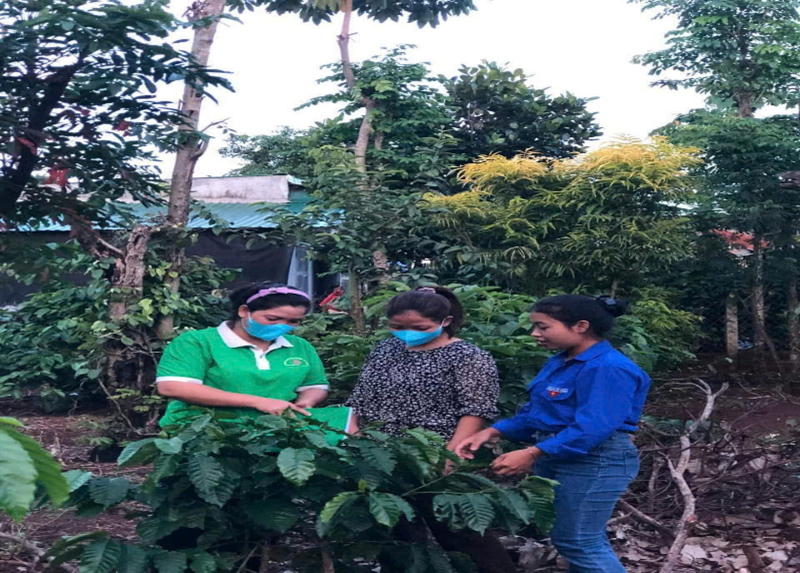 SỬ DỤNG HIỆU QUẢ NGUỒN VỐN GIẢI QUYẾT VIỆC LÀM TỪ NGÂN HÀNG CHÍNH SÁCH XÃ HỘI CƯ M’GAR