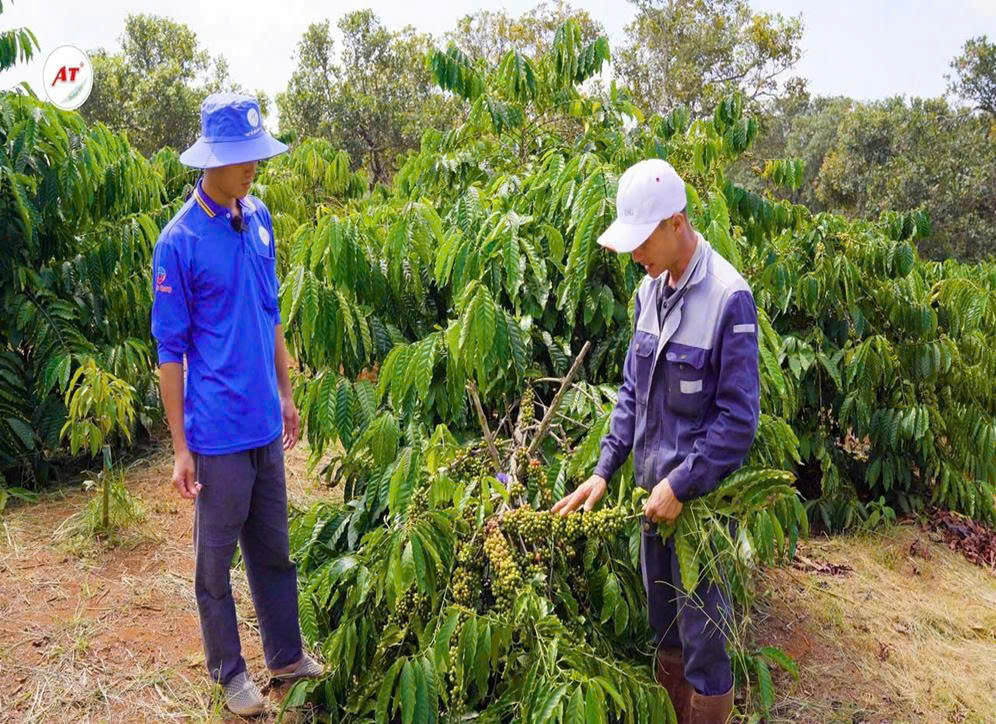 Tín dụng chính sách - “Đòn bẩy” giúp bà con Tây Nguyên thoát nghèo