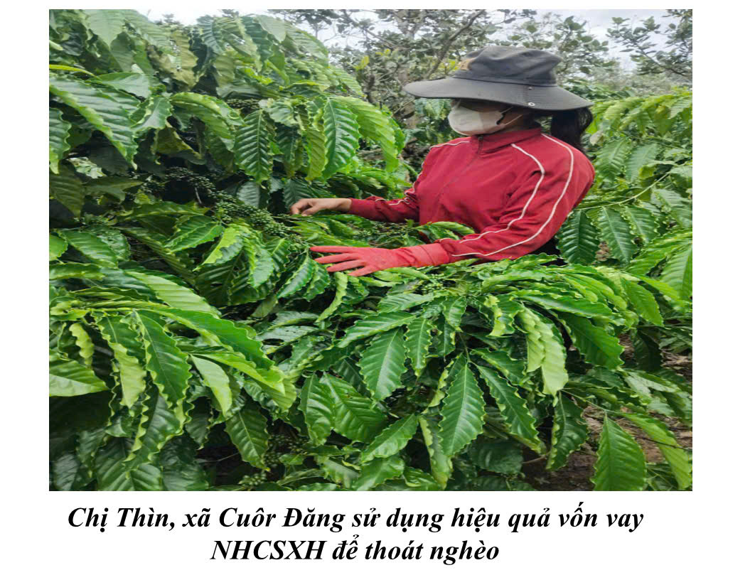 Tín dụng chính sách - “Đòn bẩy” giúp bà con Tây Nguyên thoát nghèo