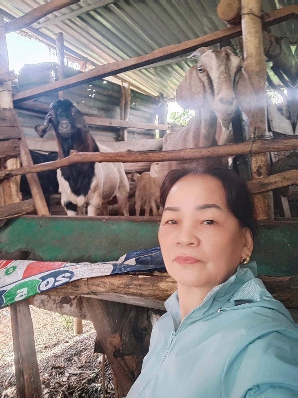 GƯƠNG CHI HỘI TRƯỞNG NHIỆT TÌNH VỚI CÔNG TÁC HỘI, KIÊM TỔ TRƯỞNG TỔ TIẾT KIỆM &amp;VAY VỐN  TÂM HUYẾT VỚI CÔNG VIỆC