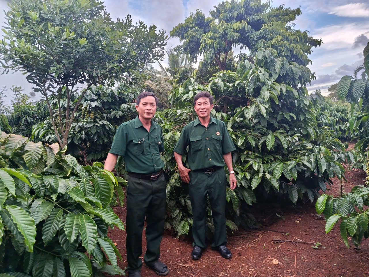 HỘI CỰU CHIẾN BINH PHÁT HUY HIỆU QUẢ KINH TẾ TỪ NGUỒN VỐN CỦA NGÂN HÀNG CHÍNH SÁCH XÃ HỘI